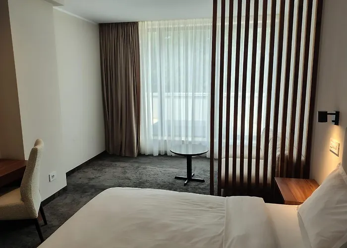 Apart Otel Embassy Romana 3*