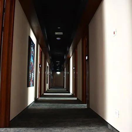 Embassy Romana Bukurešť